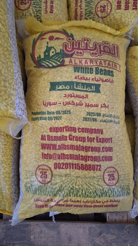 فاصوليا بيضاء